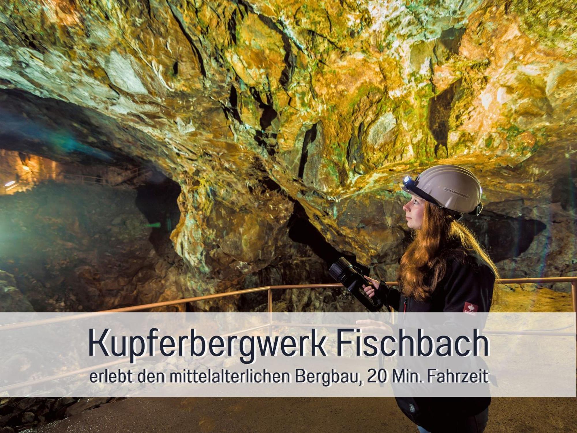 Natur-Chalet Zum Nationalpark Marie-Luise Inkl E-Auto Allenbach 外观 照片