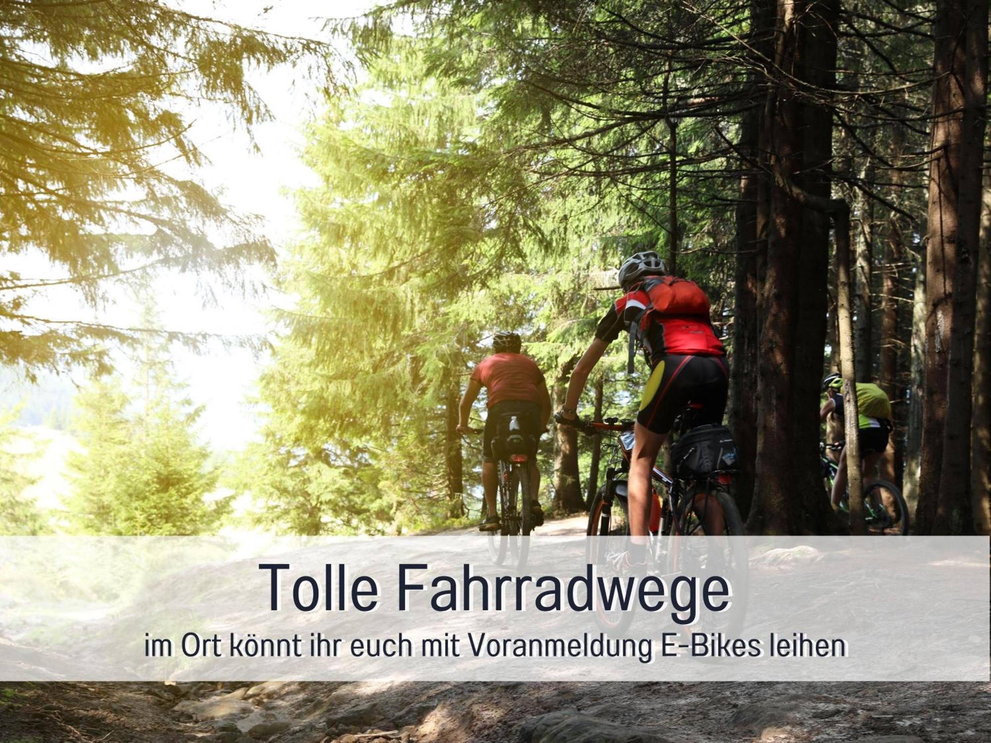 Natur-Chalet Zum Nationalpark Marie-Luise Inkl E-Auto Allenbach 外观 照片