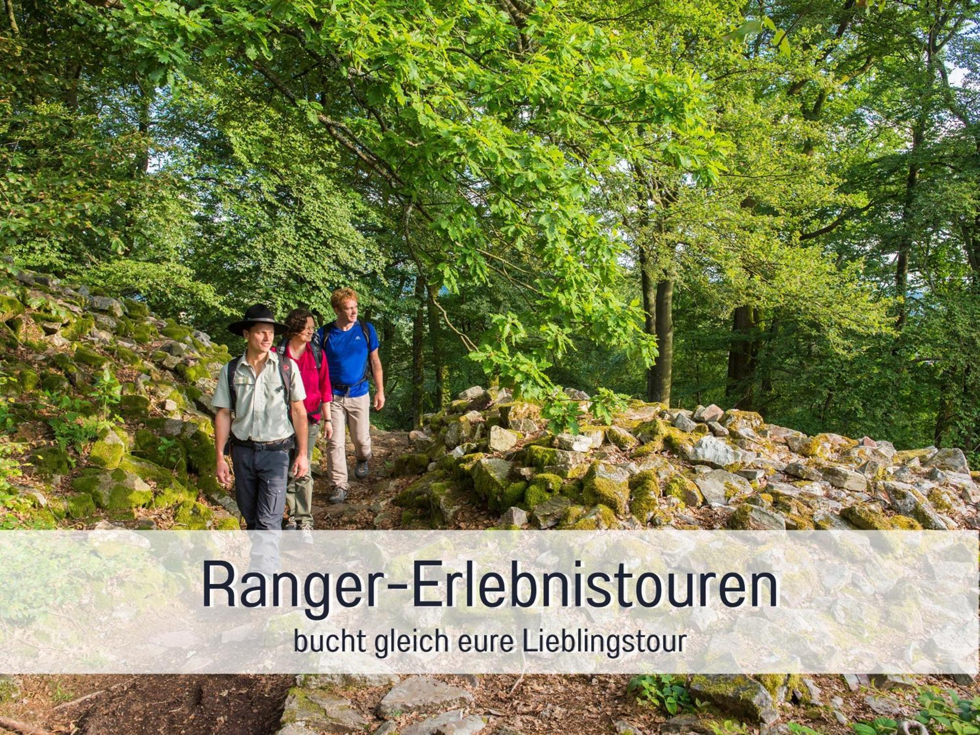 Natur-Chalet Zum Nationalpark Marie-Luise Inkl E-Auto Allenbach 外观 照片