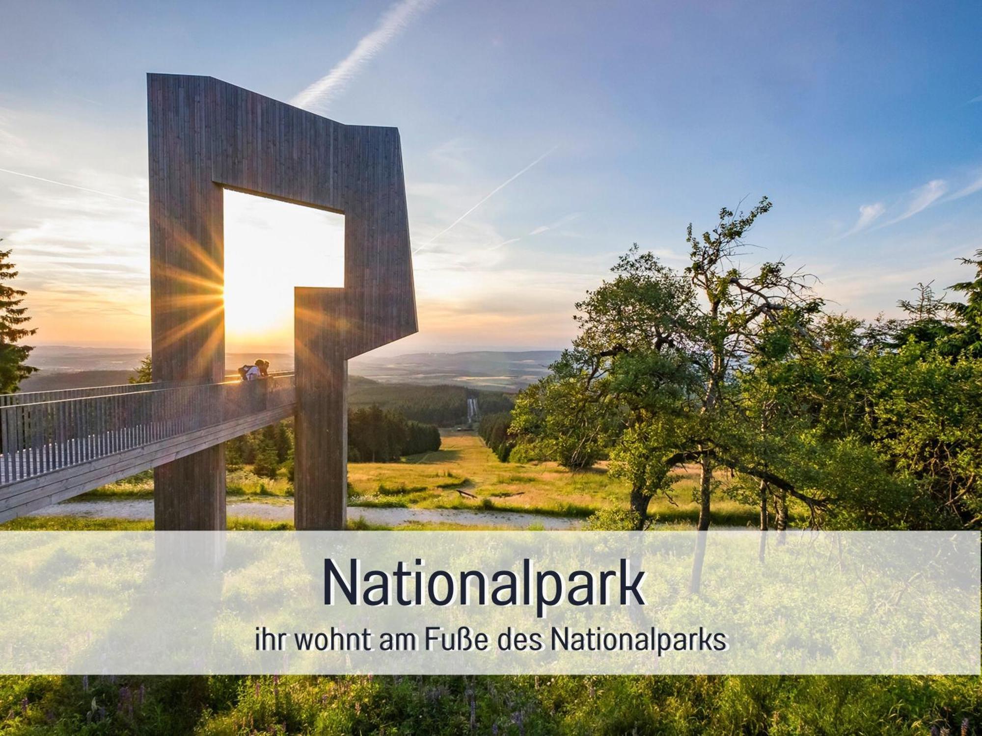 Natur-Chalet Zum Nationalpark Marie-Luise Inkl E-Auto Allenbach 外观 照片