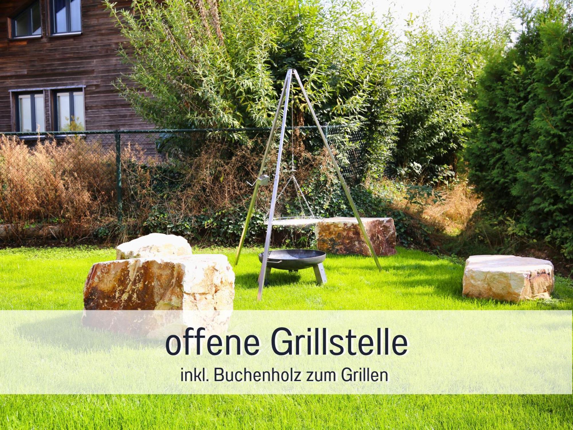 Natur-Chalet Zum Nationalpark Marie-Luise Inkl E-Auto Allenbach 外观 照片